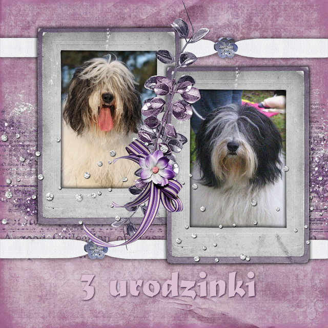 3 urodzinki