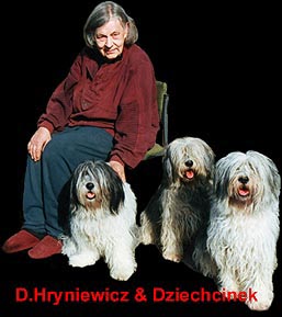 D.Hryniewicz & Dziechcinek