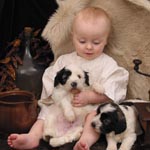 pon Puppies