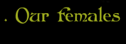 our females